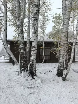 Коттедж в Алтайский край, Первомайский район, с. Фирсово ул. Порфирия ...