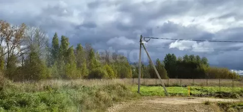 Участок в Ленинградская область, Ломоносовский район, Пениковское ...