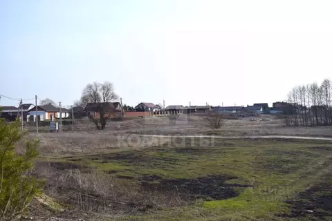 Участок в Воронежская область, Рамонский район, Ступинское с/пос, с. ...