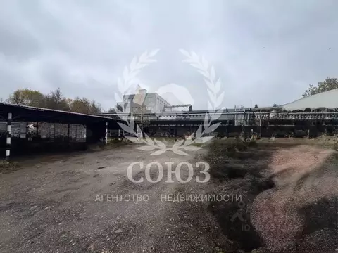 Участок в Калужская область, Калуга ул. Никитина, 139 (15.0 сот.)