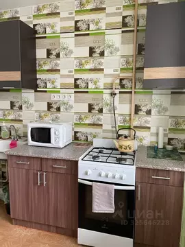 1-к кв. Псковская область, Псков Новгородская ул., 14 (34.0 м)