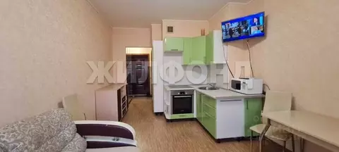 Студия Новосибирская область, Новосибирск ул. Бориса Богаткова, 208/2 ...