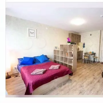 1-к кв. Нижегородская область, Нижний Новгород ул. Мечтателей, 5 (28.0 ...