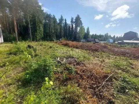 Участок в Коми, Корткеросский район, Додзь муниципальное образование, ...