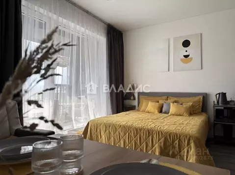 Студия Санкт-Петербург ул. Ультрамариновая, 5 (25.2 м)