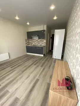 Студия Московская область, Ленинский городской округ, Лопатино пгт ул. ...