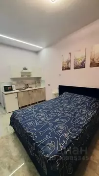 Студия Ленинградская область, Гатчина Пушкинское ш., 1 (25.0 м)