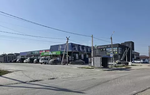 Торговая площадь в Краснодарский край, Новороссийск городской округ, ...