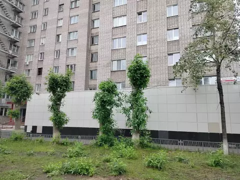 Помещение свободного назначения в Удмуртия, Ижевск Майская ул., 21 (14 ...
