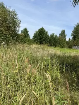 Участок в Свердловская область, Нижний Тагил с. Ольховка,  (10.25 ...