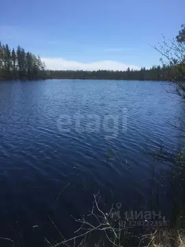 Участок в Ленинградская область, Выборгский район, Красносельское ...