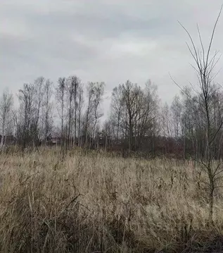 Участок в Московская область, Чехов  (12.69 сот.)