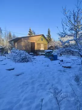 Дом в Санкт-Петербург, Санкт-Петербург, Пушкин СНТ Дони тер., ул. 12-я ...