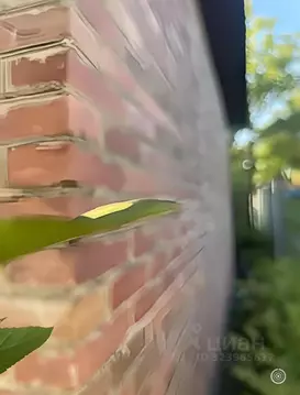 Дом в Смоленская область, Смоленск Дубровенка СНТ,  (30 м)