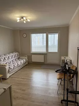 Студия Санкт-Петербург пос. Шушары, просп. Новгородский, 2к1 (25.2 м)