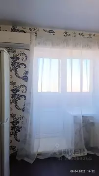 Студия Новосибирская область, Новосибирск ул. Серафимовича, 24/1 (30.0 ...