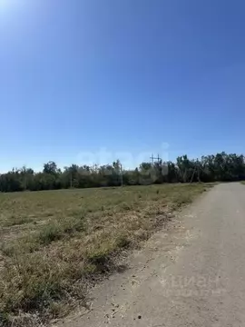 Участок в Ростовская область, Аксайский район, Большелогское с/пос, ...