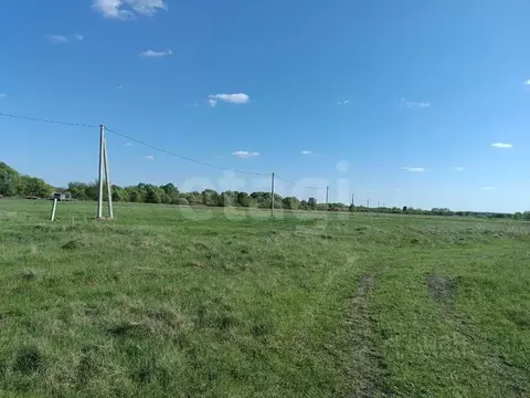 Участок в Курская область, Курский район, Нижнемедведицкий сельсовет, ...