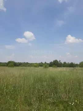 Участок в Московская область, Серебряные Пруды муниципальный округ, ...