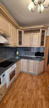 2-к кв. Челябинская область, Челябинск ул. Зальцмана, 48 (56.6 м)