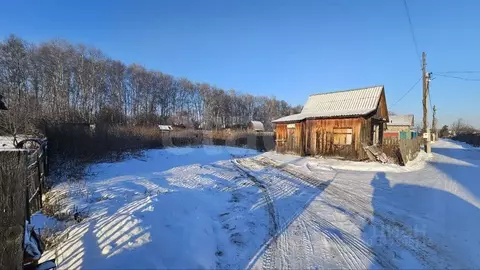 Участок в Тюменская область, Тюмень Лаванда садовое товарищество, ул. ...