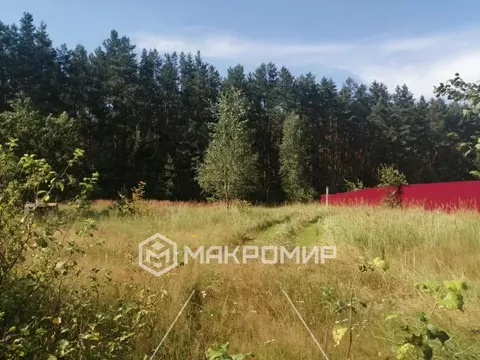 Участок в Брянская область, Выгоничский район, Хутор-Борское с/пос, ...