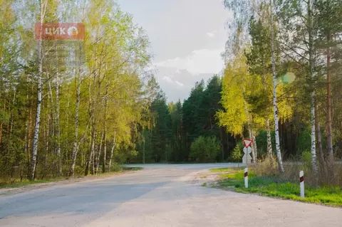 Участок в Рязанская область, Спасский муниципальный округ, с. Ярустово ...