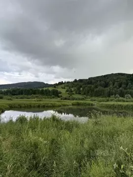 Участок в Алтайский край, Солонешенский район, с. Искра  (530.0 сот.)