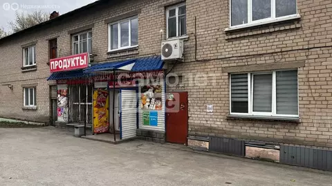 2-комнатная квартира: Миасс, улица Труда, 38 (38 м)