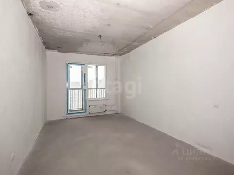 Студия Новосибирская область, Новосибирский район, Мочищенский ...