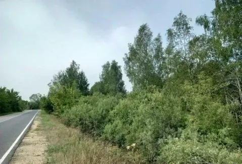 Участок в Московская область, Дмитровский муниципальный округ, д. ...