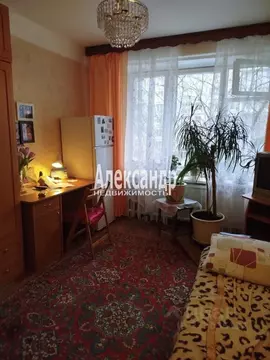 Комната Санкт-Петербург Будапештская ул., 5К2 (13.0 м)