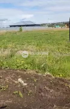 Участок в Татарстан, с. Пестрецы  (10.27 сот.)