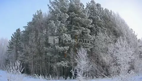 Участок в Новосибирская область, Новосибирский район, Барышевский ...
