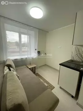 Квартира-студия: Казань, улица Сары Садыковой, 20 (12 м)