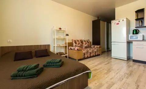 1-к кв. Московская область, Ногинск Богородский городской округ, ул. ...