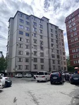 Студия Дагестан, Махачкала ул. Тулпара Мусалаева, 16А (42.2 м)