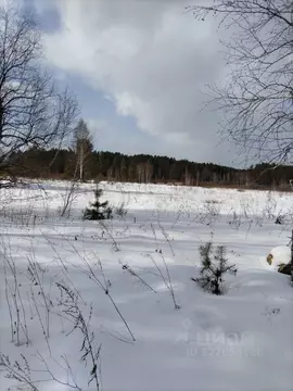 Участок в Иркутская область, Иркутский муниципальный округ, Иркут ...