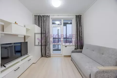 Студия Санкт-Петербург аллея Арцеуловская, 9 (22.6 м)