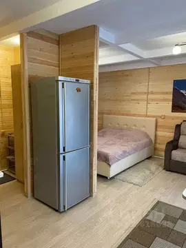 Дом в Алтай, Чемальский район, с. Чемал  (30 м)