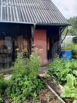 Дом в Златоуст, улица 40-летия Победы, 11 (16 м)