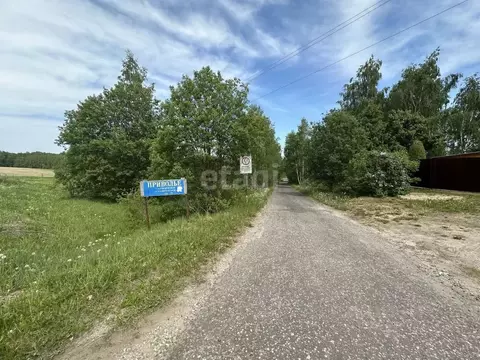 Участок в Владимирская область, Петушинский муниципальный округ, ...