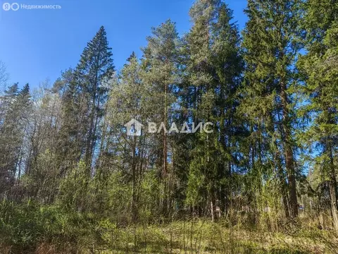 Участок в городской посёлок Рощино, Лесная улица, 8А (19.99 м)