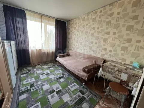 Студия Тюменская область, Тюмень ул. Чекистов, 31А/1 (15.0 м)