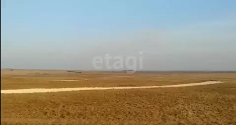 Участок в Крым, Ленинский район, с. Калиновка ул. Абденановой (8.0 ...