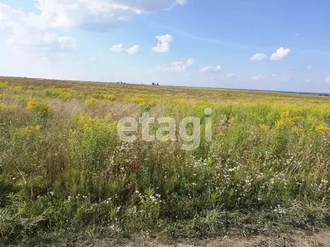 Участок в Брянская область, Брянский район, Отрадненское с/пос, с. ...