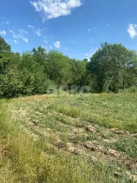 Участок в Крым, Симферопольский район, Чистенское с/пос, с. Камышинка  ...