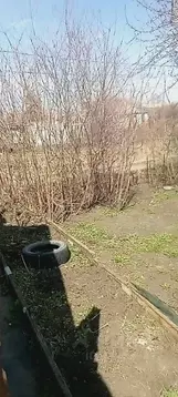 Участок в Челябинская область, Магнитогорск Машиностроитель садовое ...