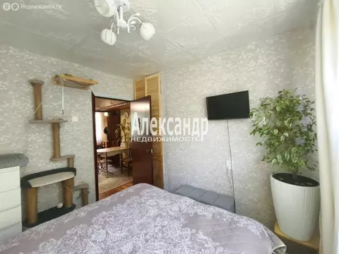 3-комнатная квартира: Санкт-Петербург, улица Лёни Голикова, 42 (41.9 ...