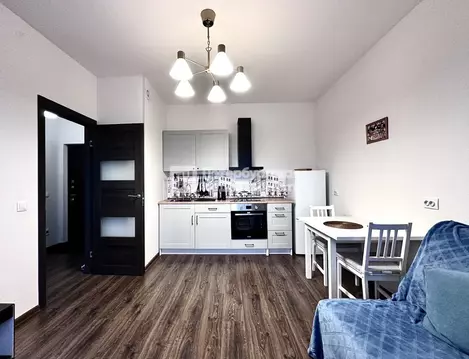 1-к кв. Санкт-Петербург ул. Георгия Гречко, 3 (30.5 м)